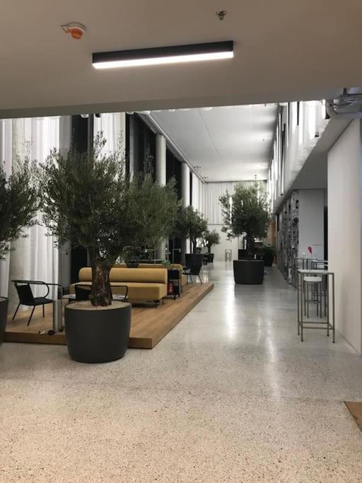 Deluxe & Rooftop-pool Apartament *